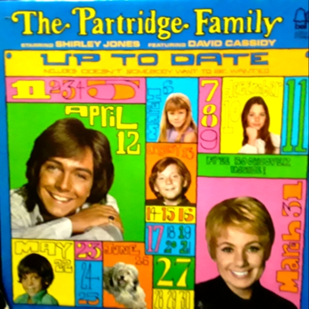 Patridge family LP